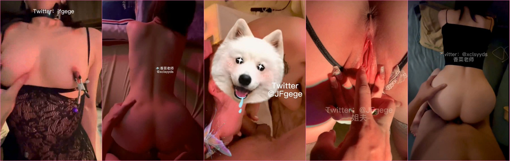 vfjbbk.jpg