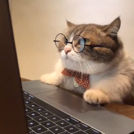 馋猫.gif
