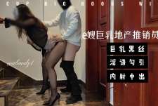 e嫂巨乳地产推销员2